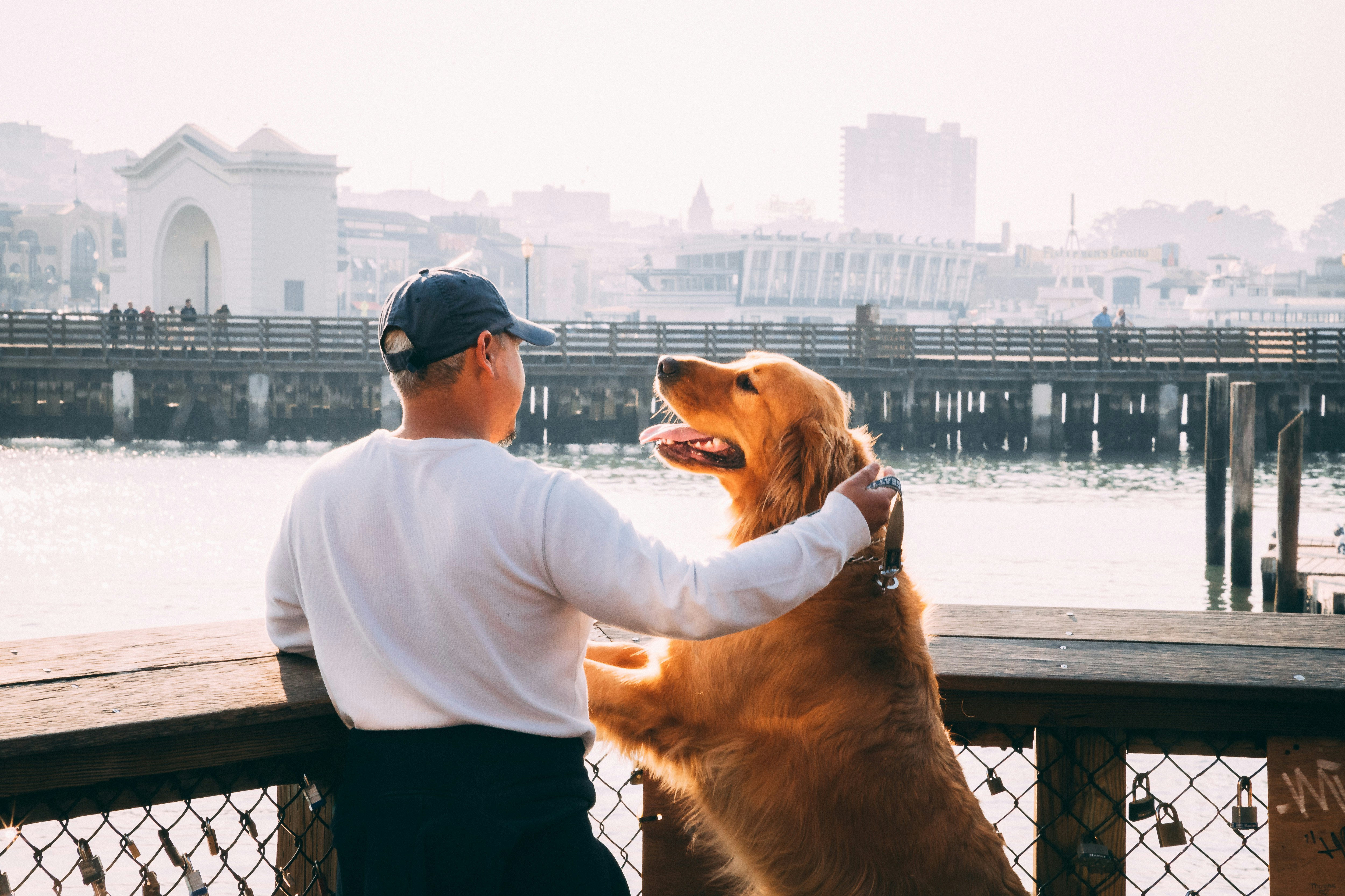 Old dog sitting beside a young person, visualising the age equivalence between dog years and human years